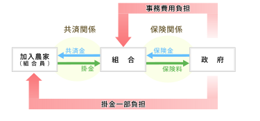 香川では２段階で責任分担