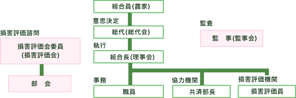 共済掛金の所得控除・共済金の非課税