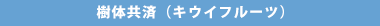 樹体共済（キウイフルーツ）