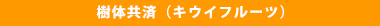 樹体共済（キウイフルーツ）