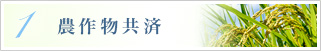 農作物共済