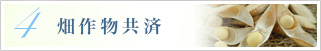 畑作物共済